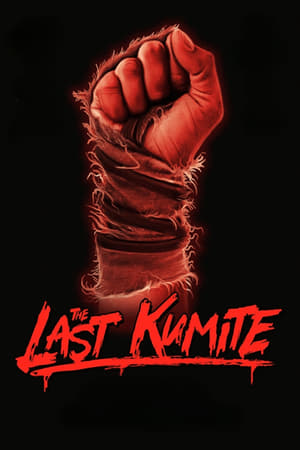 The Last Kumite 2024 BRRip