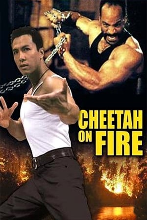 Cheetah on Fire (1992) Dual Audio Hindi