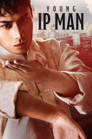 Young Ip Man Crisis Time 2020 HDRip Dual