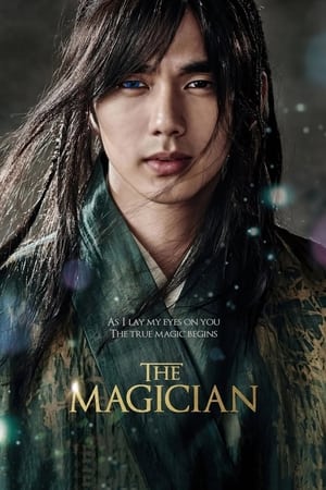 The Magician 2015 Hindi Korean