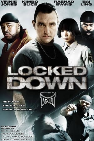 Locked Down (2010) UNRATED Dual Audio Hindi