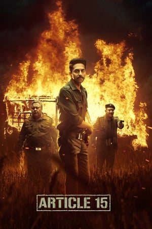 Article 15 2019 BRRIp