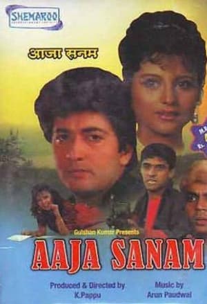 Aaja Sanam 1994 720p Hindi