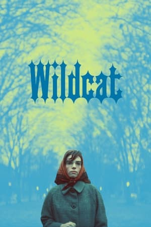 Wildcat 2024 English