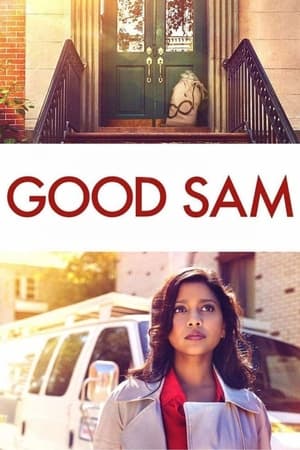 Good Sam 2019 Dual Audio