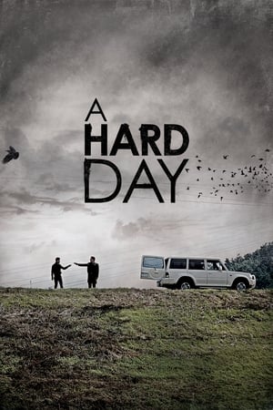 A Hard Day 2014 Dual Audio