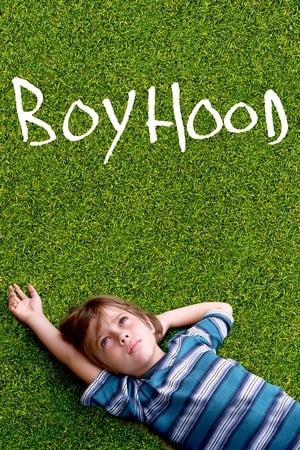 Boyhood 2014 Dual Audio