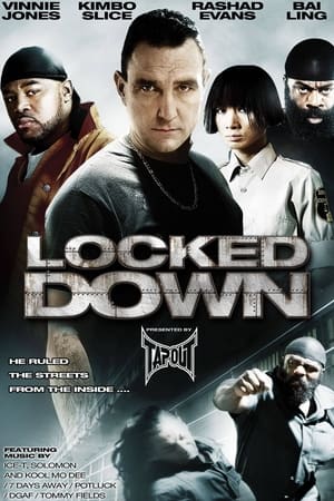 Locked Down (2010) Dual Audio Hindi