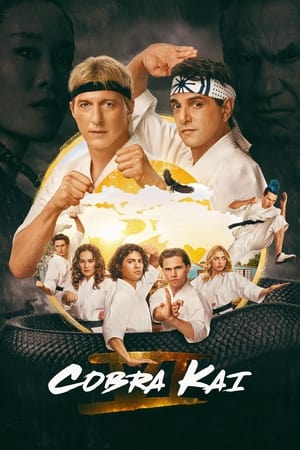 Cobra Kai S06 2024 Dual Audio