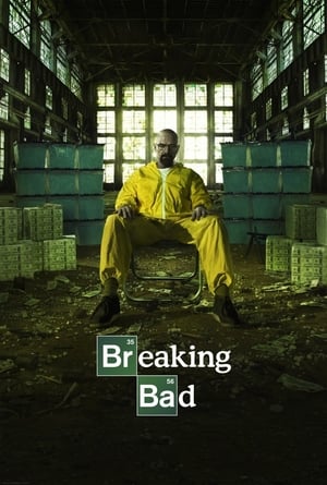 Breaking Bad S05 2012 Dual Audio