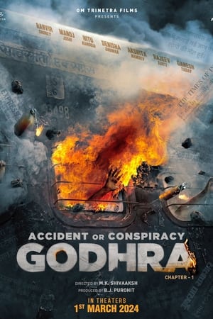 Accident or Conspiracy: Godhra 2024 HDTS