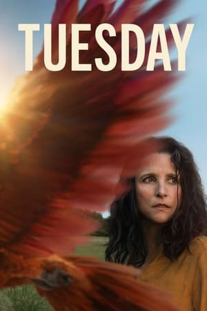 Tuesday 2023 HDRip