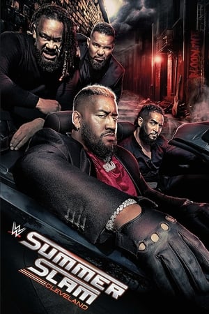 WWE SummerSlam 2024 PPV WEBRip