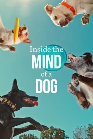 Inside the Mind of a Dog 2024 Dual Audio