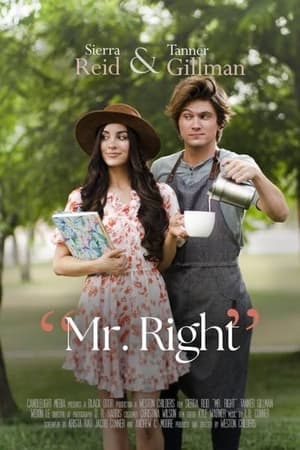 Mr. Right 2023 HDRip