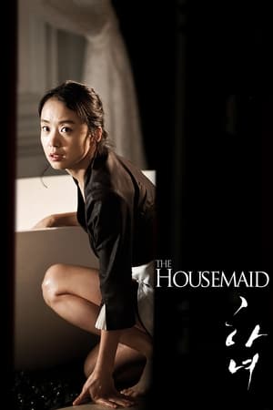 The Housemaid 2010 Hindi Korean