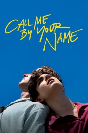 Call Me by Your Name 2017 Dual Audio Hindi