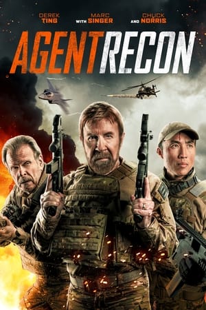 Agent Recon 2024 AMZN Dual Audio Hindi