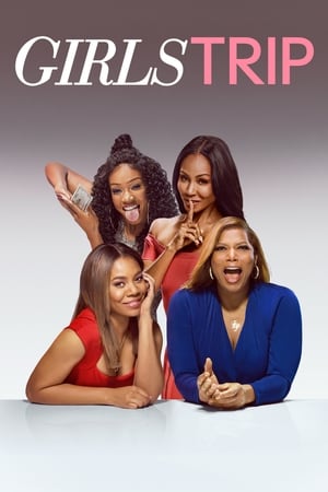 Girls Trip 2017 Dual Audio