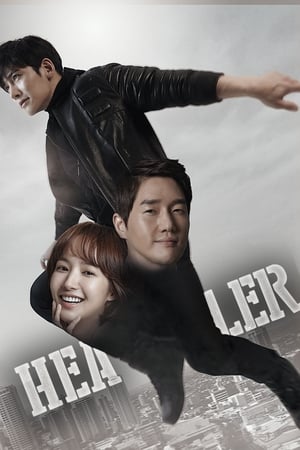 Healer S01 2014 Hindi