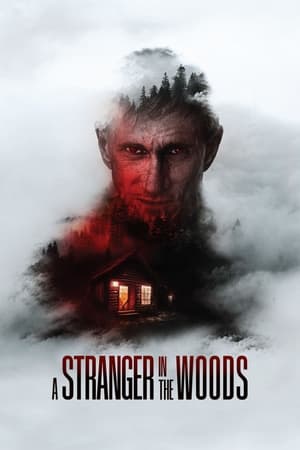 A Stranger in the Woods 2024 HDRip