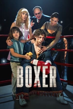 Boxer 2024 Dual Audio Hindi