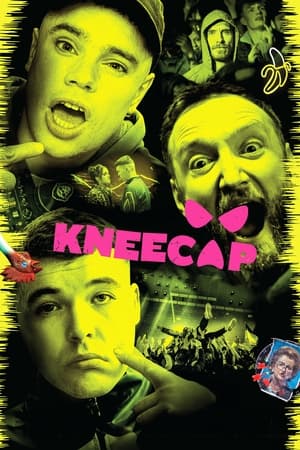 Kneecap 2024 HDRip