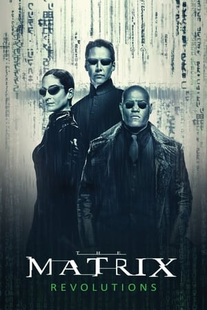 The Matrix Revolutions 2003 Dual Audio