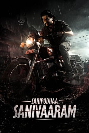 Saripodhaa Sanivaaram 2024 Hindi NF