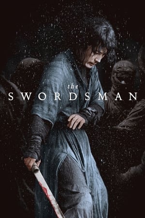 The Swordsmen 2011 Dual Audio