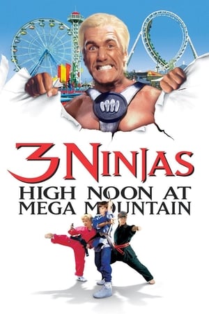 3 Ninjas: High Noon at Mega Mountain 1998 Dual Audio Hindi