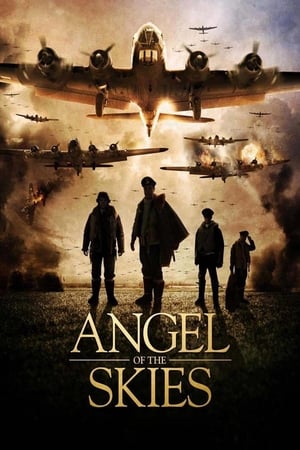 Angel Of The Skies (2013) Dual Audio Hindi