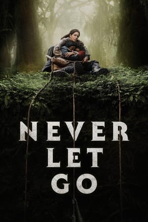 Never Let Go 2024 HDRip