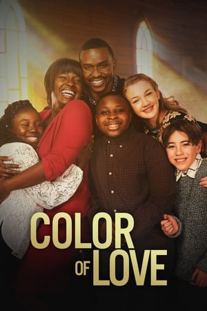 Color of Love 2021 HDRip Dual