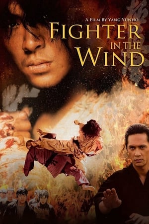 Fighter in the Wind 2004 Dual Audio Hindi