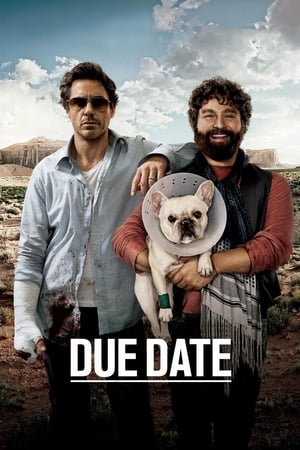 Due Date 2010 Dual Audio Hindi