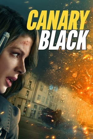 Canary Black 2024 BRRIp