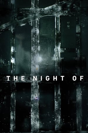 The Night Of S01 2016 English