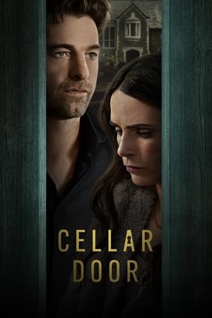 Cellar Door 2024 BRRip