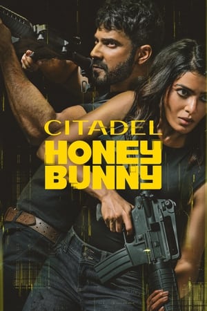 Citadel Honey Bunny S01 2024 Hindi