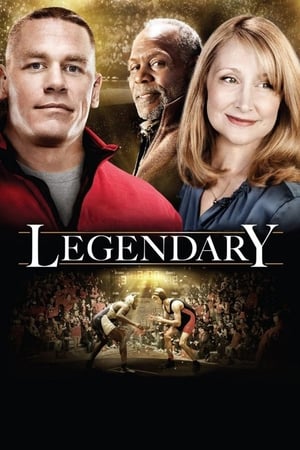 Legendary (2010) Dual Audio Hindi