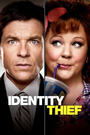 Identity Thief 2013 Dual Audio