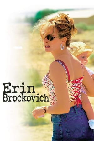 Erin Brockovich 2000 Dual Audio