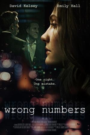 Wrong Numbers 2024 HDRip