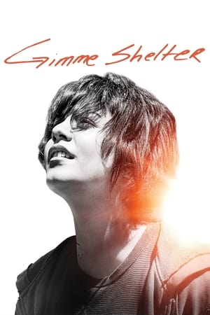 Gimme Shelter 2013 Dual Audio Hindi