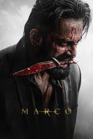 Marco Hindi BRRIp