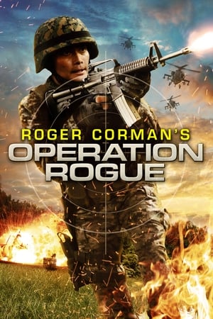 Operation Rogue 2014 Dual Audio Hindi