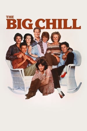 The Big Chill 1983 Dual Audio Hindi