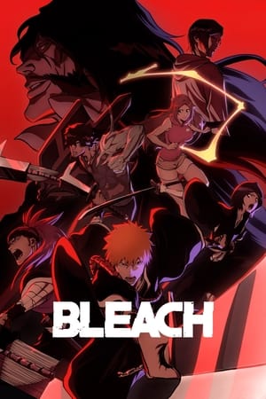 BLEACH Thousand Year Blood War S01 2004 Hindi