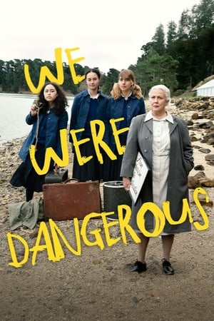 We Were Dangerous 2024 HDRip